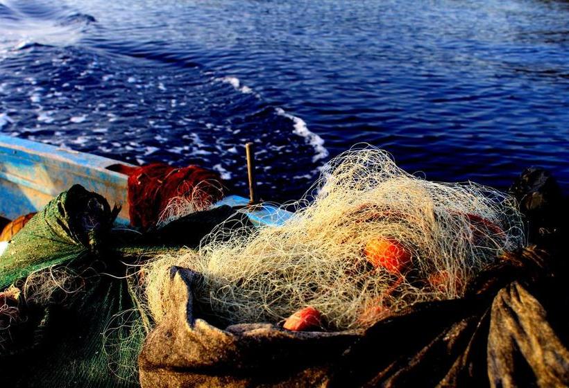 Il Vecchio E Il Mare B&b Maratea  | Maratea | Potenza | Italia 13