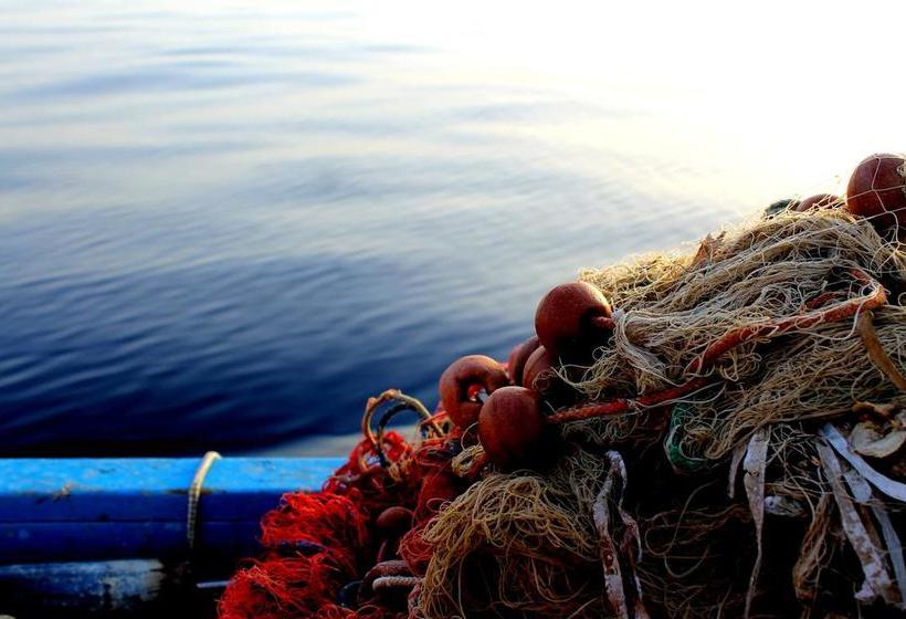 Il Vecchio E Il Mare B&b Maratea  | Maratea | Potenza | Italia 16