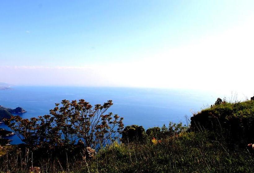 Il Vecchio E Il Mare B&b Maratea  | Maratea | Potenza | Italia 4