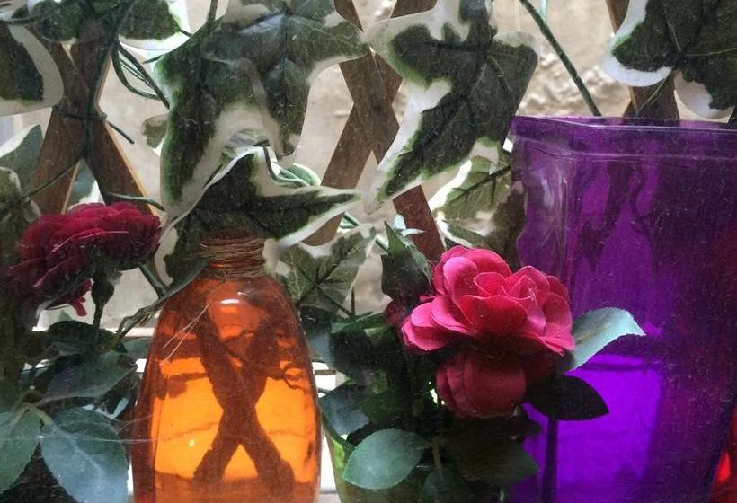 Bed and Breakfast Bellini  | Cagliari | Sardegna | Italia 14