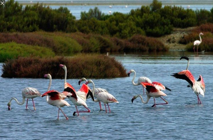 Bed and Breakfast Bellini  | Cagliari | Sardegna | Italia 17