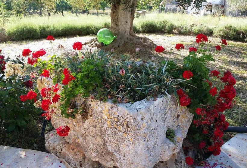 Bed and Breakfast Il Melograno  | Ceglie Messapica | Brindisi | Italia 10