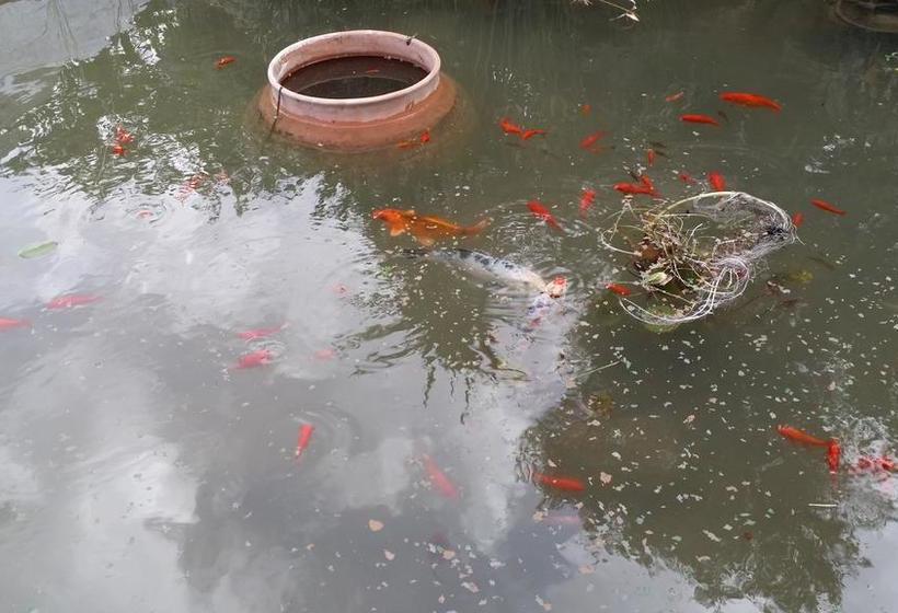 Bed and Breakfast Il Melograno  | Ceglie Messapica | Brindisi | Italia 17