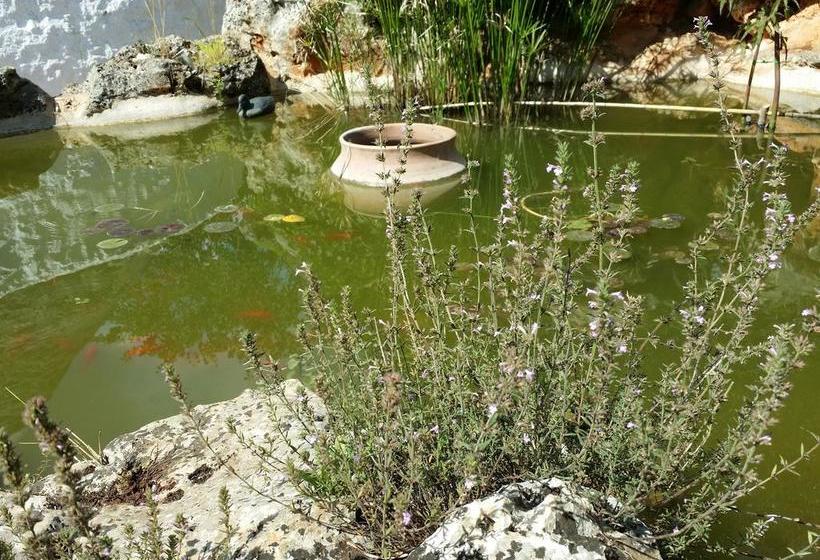 Bed and Breakfast Il Melograno  | Ceglie Messapica | Brindisi | Italia 5