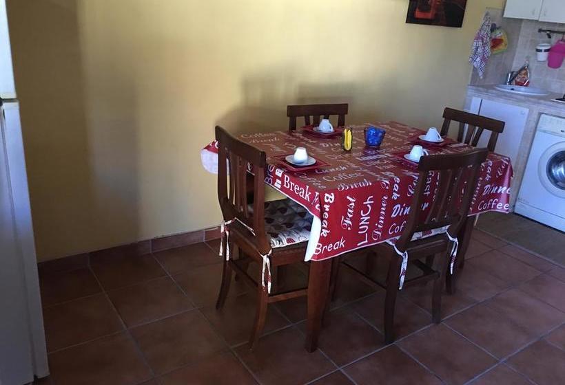 Bed and Breakfast Spoleto Undici  | Ciampino | Rome | Italy 6