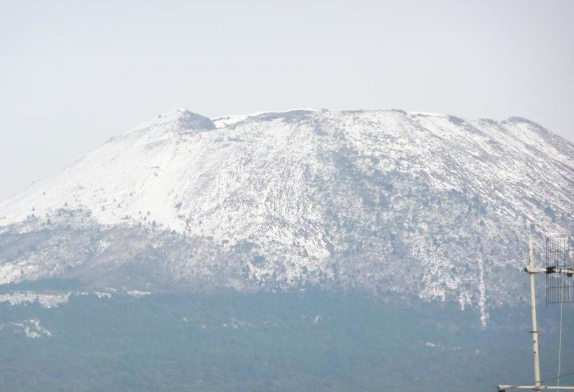 Bed and Breakfast Herculis Domus  | Ercolano | Napoli | Italia 17