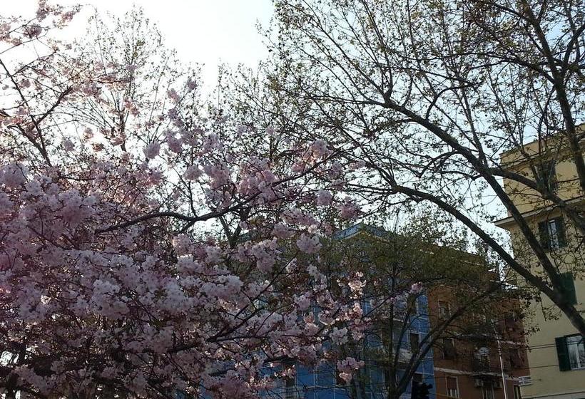 B&b Cupole&campanili  | Roma | Roma | Italia 1