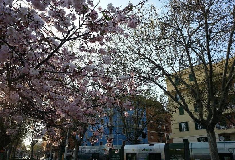 B&b Cupole&campanili  | Roma | Roma | Italia 6