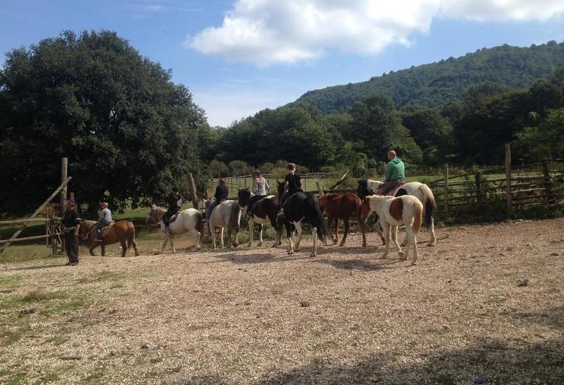 Bed and Breakfast La Culla Dei Castelli Romani  | Velletri | Rome | Italie 18