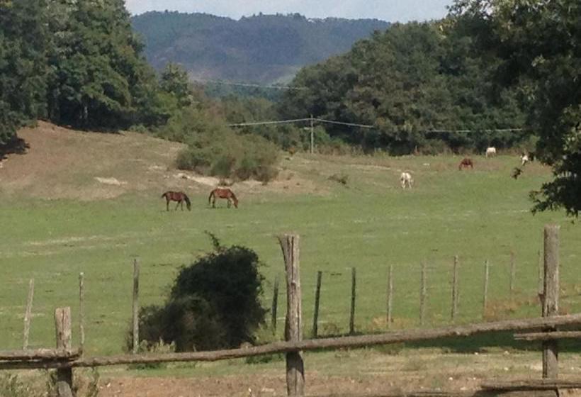 Bed and Breakfast La Culla Dei Castelli Romani  | Velletri | Rome | Italie 19