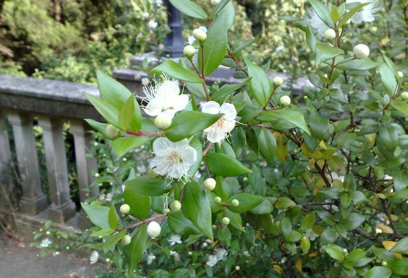 Le Mingarine B&b  | Sasso Marconi | Bologna | Italia 9