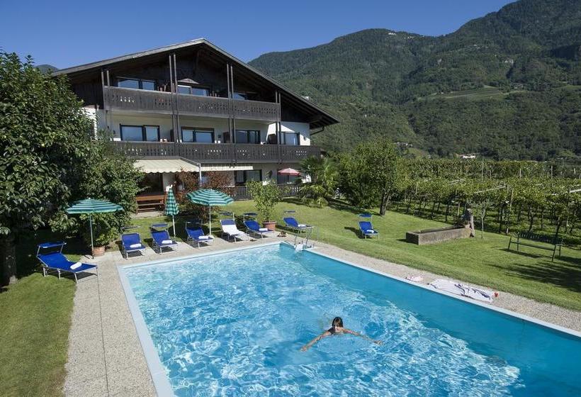Hotel Pension Appartment Hecherhof  | Merano | Bolzano | Italia 6