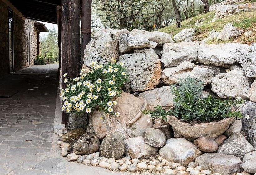 Bed and Breakfast Casale San Pietro  | Anagni | Frosinone | Italia 13