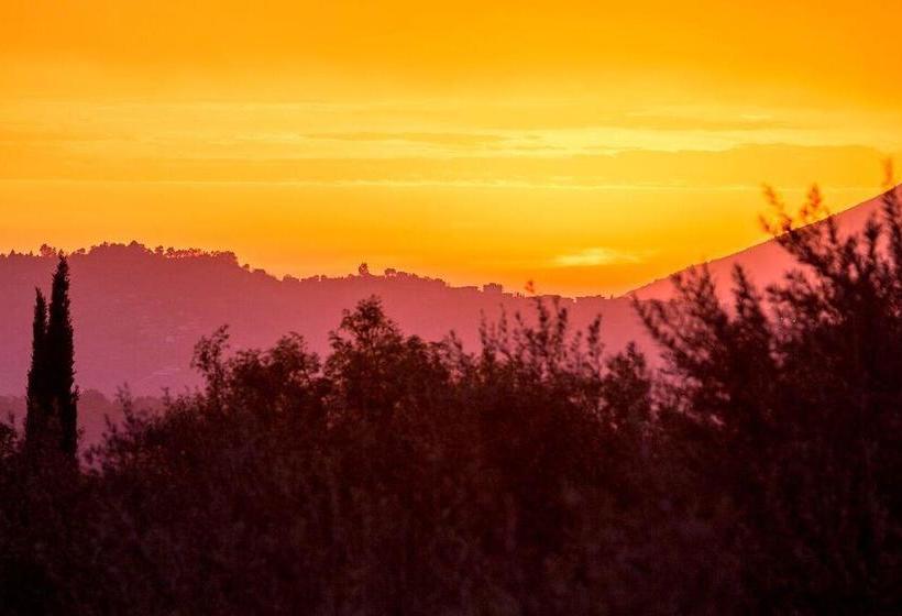 Bed and Breakfast Casale San Pietro  | Anagni | Frosinone | Italia 19