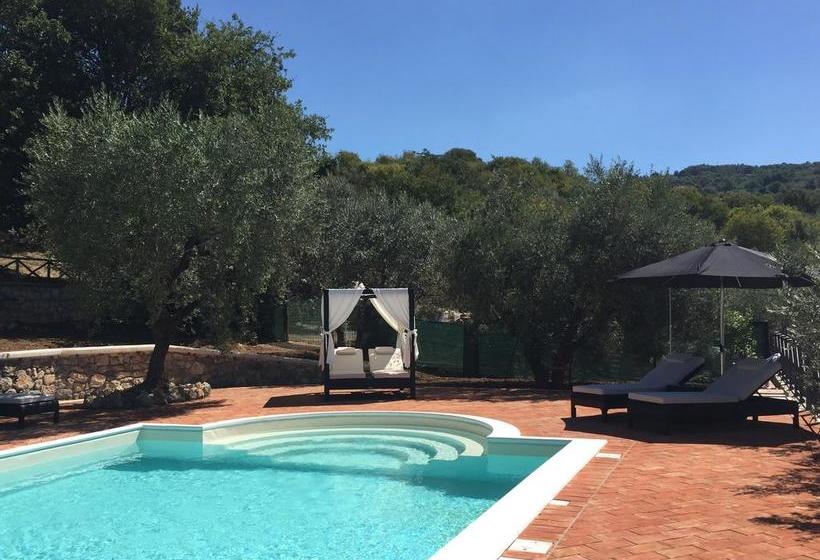 Bed and Breakfast Casale San Pietro  | Anagni | Frosinone | Italia 5