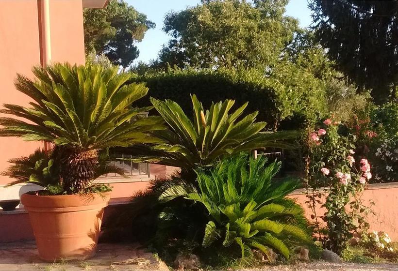 Bed and Breakfast La Casa Di Lilì  | Grottaferrata | Roma | Italia 5