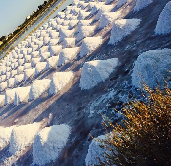 Bed and Breakfast Guardalegadi  | Paceco | Trapani | Italia 19