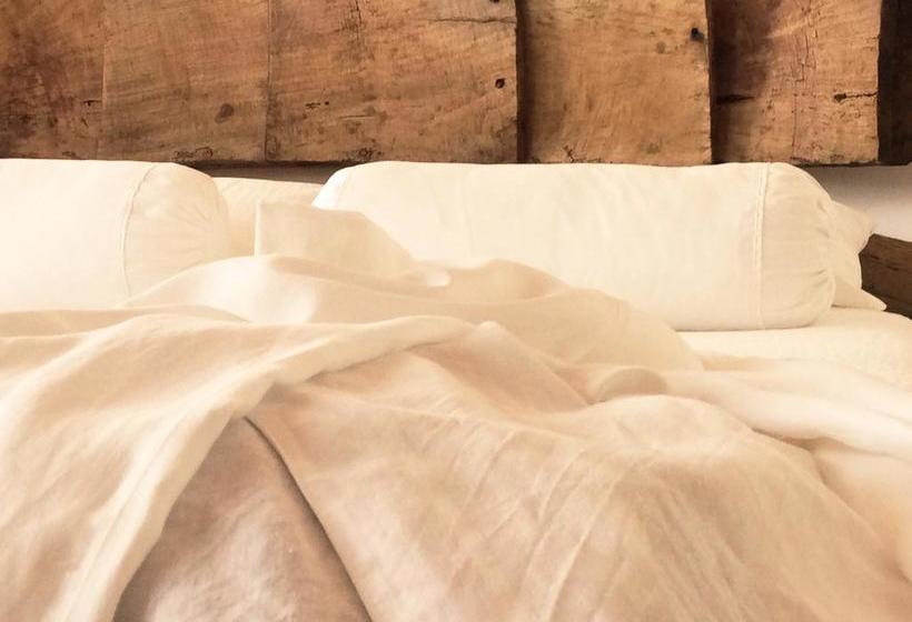 B&b A Piazza Del Gesù  | Viterbo | Viterbo | Italia 4