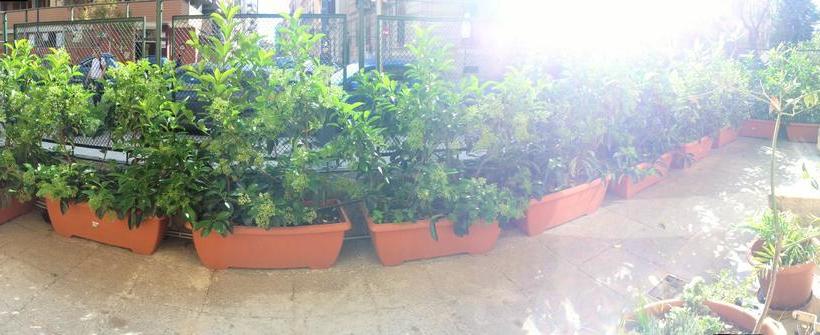 Bed and Breakfast Villa Gilda Art Rooms Palermo  | Palermo | Palermo | Italia 5