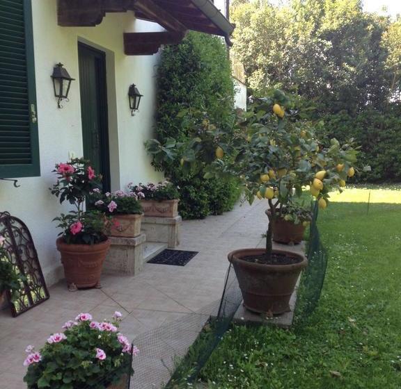 B&b La Limonaia  | Pietrasanta | Lucca | Italia 20