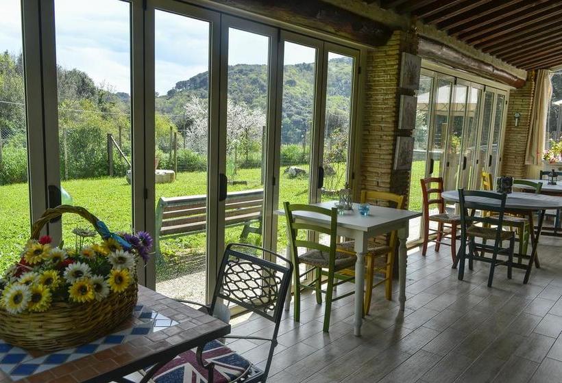 B&b Il Temperino  | Campiglia Marittima | Livorno | Italia 18