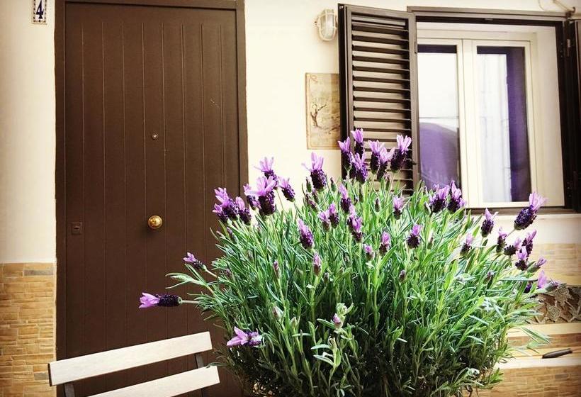 Cappuccini Hostel  | Palermo | Palermo | Italia 3