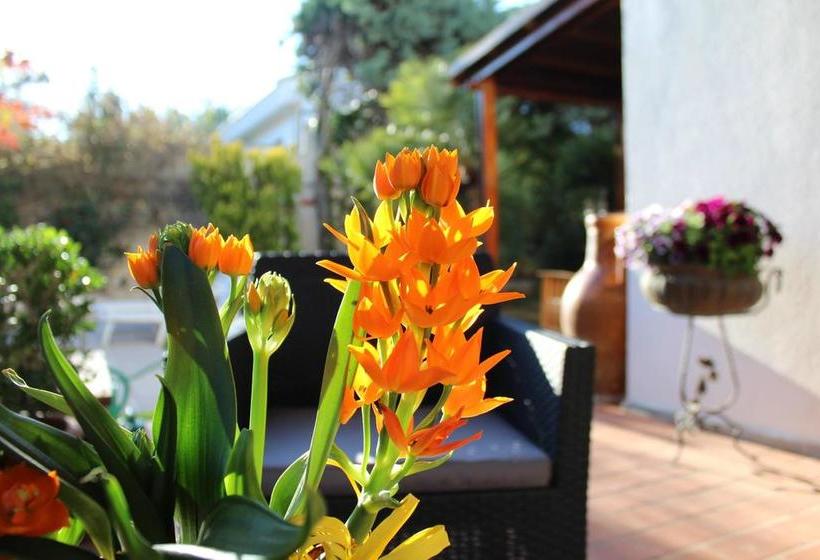 Bed and Breakfast Bed&Breakfast Apulia Time  | Bari | Bari | Italy 20