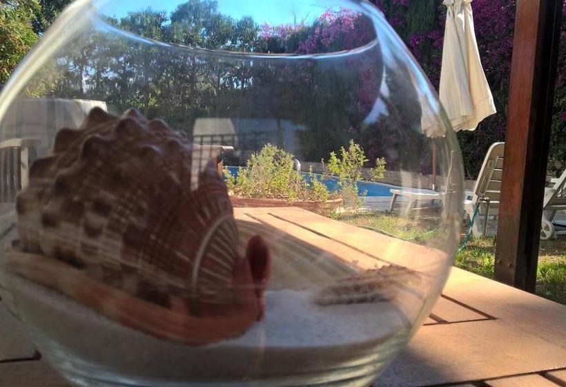 Bed and Breakfast Bed&Breakfast Apulia Time  | Bari | Bari | Italy 7