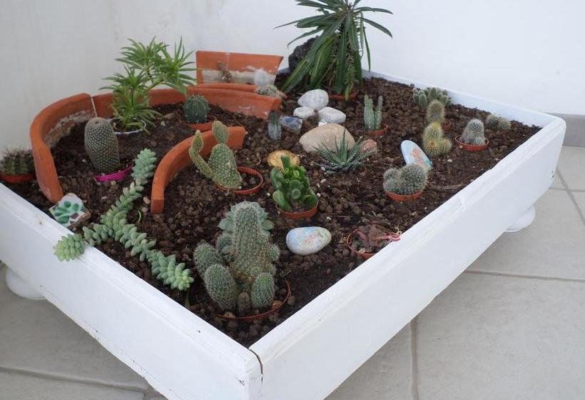 Borgo Manfria B&b  | Gela | Caltanissetta | Italia 12