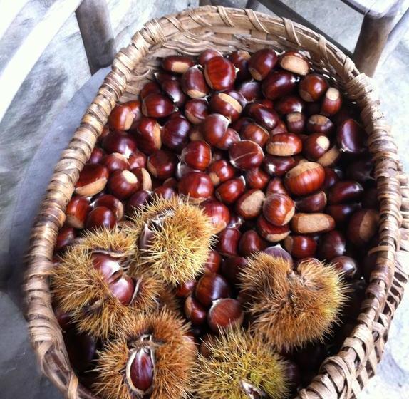 Bed and Breakfast Maison De Noé  | Arnad | Aosta | Italia 18