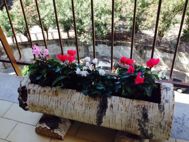 Chiavi Antiche B&b  | Salerno | Salerno | Italia 14