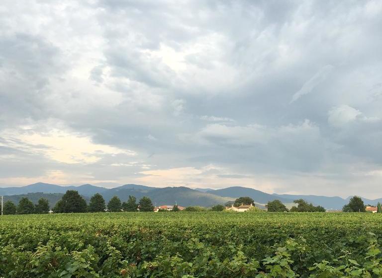 Vicolo Del Nido B&b  | Paderno Franciacorta | Brescia | Italia 20