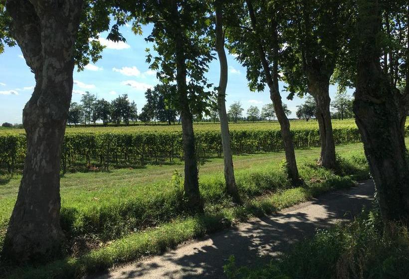 Vicolo Del Nido B&b  | Paderno Franciacorta | Brescia | Italia 5