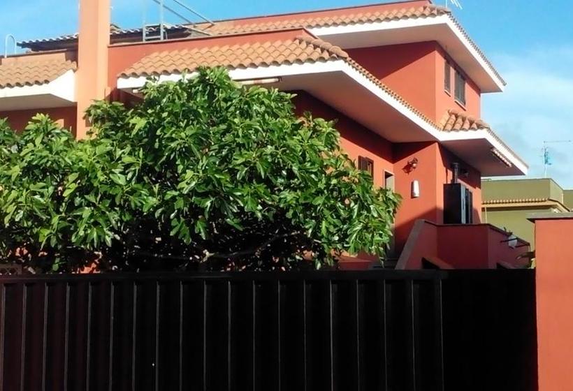 Bed and Breakfast Il Viandante  | Fiumicino | Roma | Italia 2