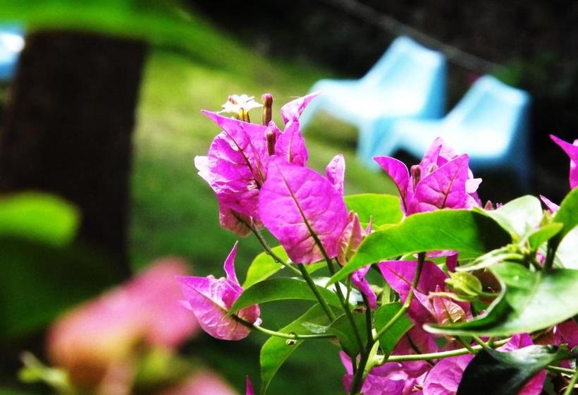 Bed and Breakfast Palazzo Da Passano  | Levanto | La Spezia | Italia 8