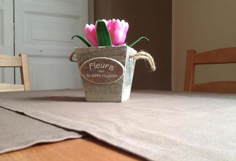 Bed and Breakfast Alba Camere  | Palermo | Palermo | Italia 19