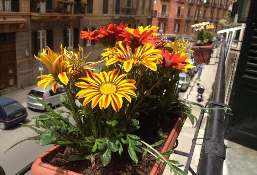 Bed and Breakfast Alba Camere  | Palermo | Palermo | Italia 20