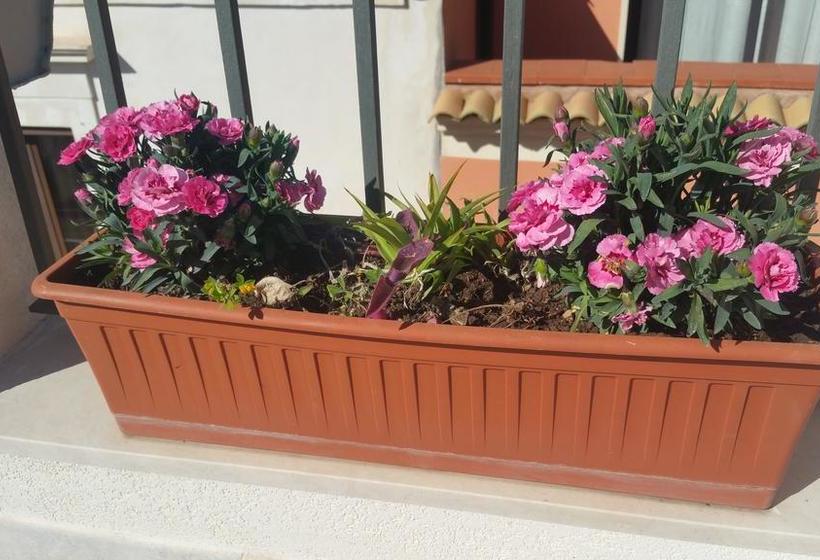 Bed and Breakfast Sogniblei  | Ragusa | Ragusa | Italia 2