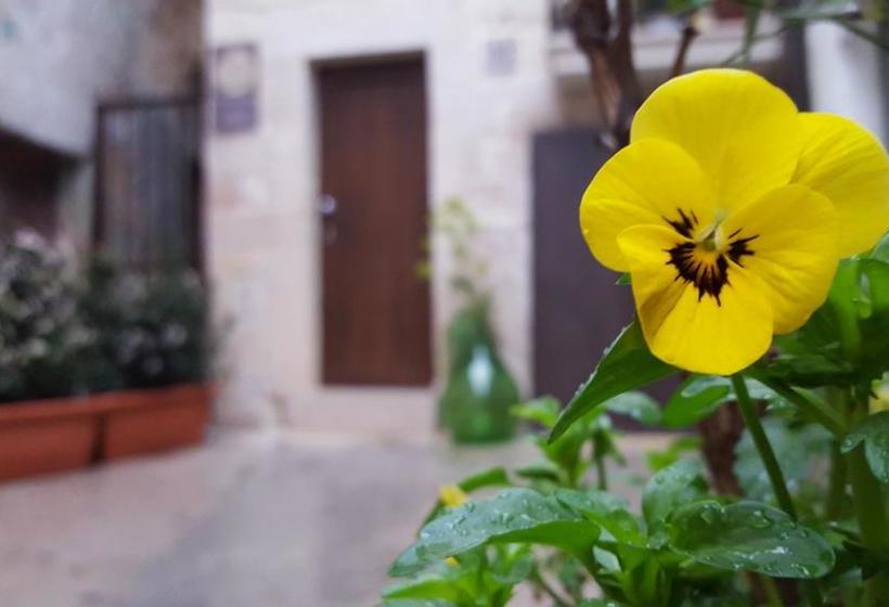 Bed and Breakfast Lino Delle Fate  | Altamura | Bari | Italia 8