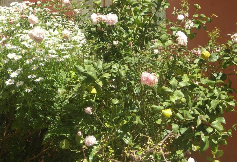 Bed and Breakfast Modica Garden Resort  | Modica | Ragusa | Italia 6