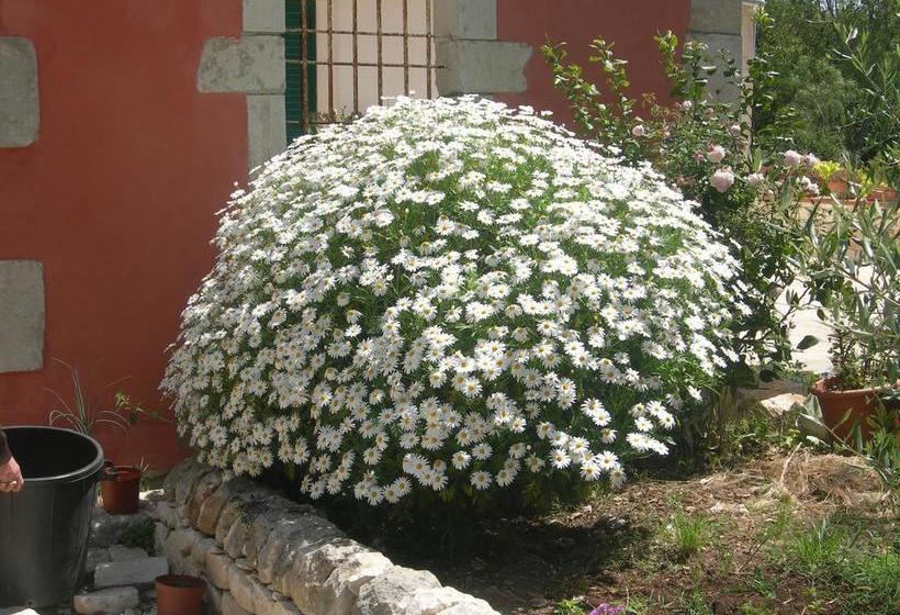 Bed and Breakfast Modica Garden Resort  | Modica | Ragusa | Italia 7