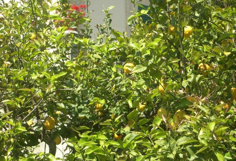 Bed and Breakfast Modica Garden Resort  | Modica | Ragusa | Italia 8