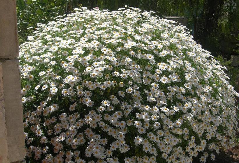 Bed and Breakfast Modica Garden Resort  | Modica | Ragusa | Italia 9