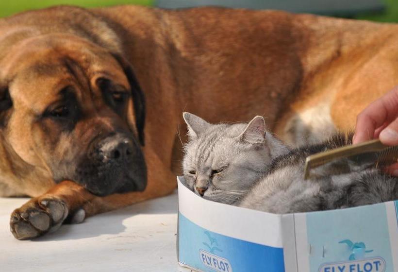 Invilla B&b  | Varese | Varese | Italia 18