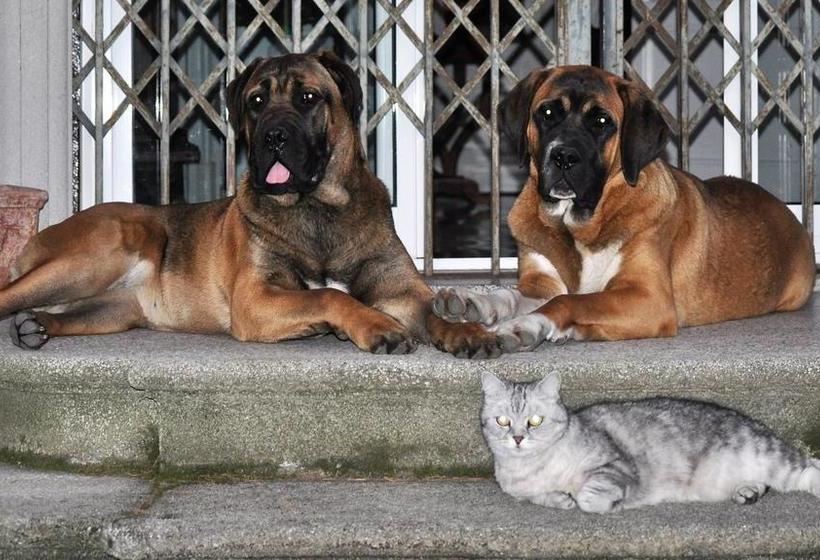 Invilla B&b  | Varese | Varese | Italia 19