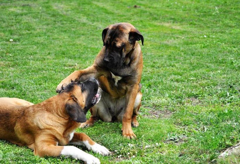 Invilla B&b  | Varese | Varese | Italia 20