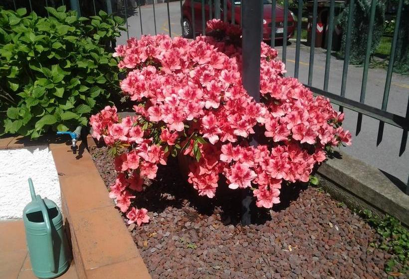 Hotel Ristorante Arcobaleno  | Celle Ligure | Savona | Italia 1