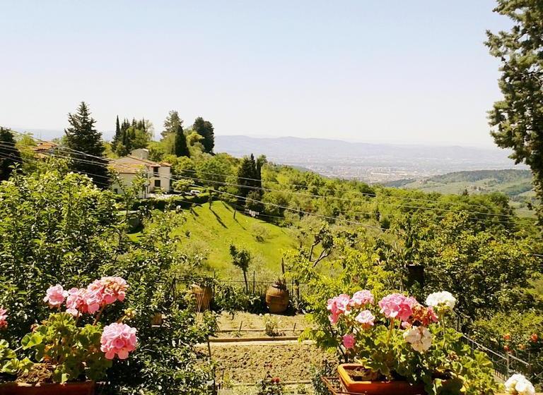 Hotel Albergo Le Terrazze  | Trespiano | Florence | Italia 11