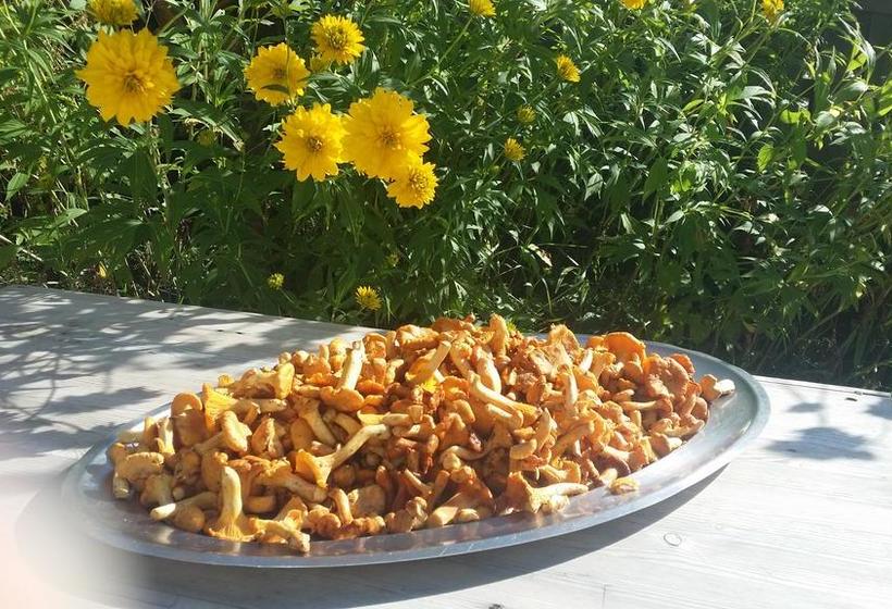 Hotel Nevada  | Campitello di Fassa | Trento | Italia 2