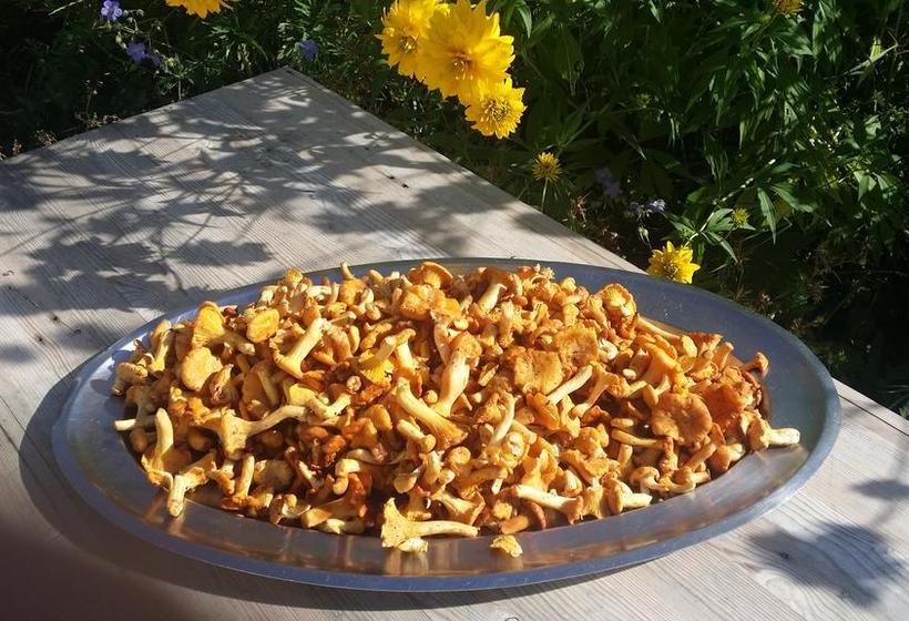 Hotel Nevada  | Campitello di Fassa | Trento | Italia 3